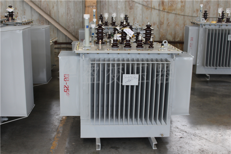 潮州S20-800kVA/10kV/0.4kV变压器